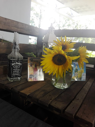 Comentarii opinii despre Hold Udvar