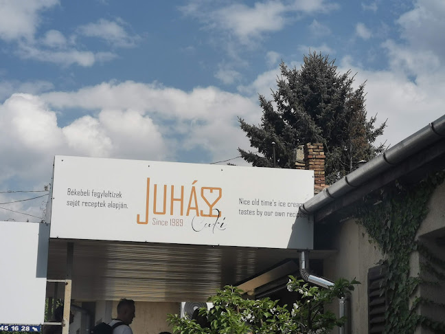 Comentarii opinii despre Juhász Cuki