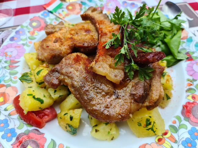 Comentarii opinii despre Sziget Csárda