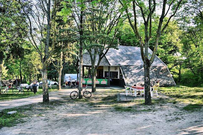 Comentarii opinii despre Xx