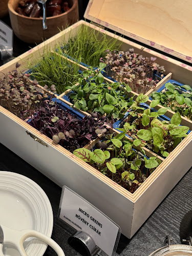 The Restaurant - Vendéglátás