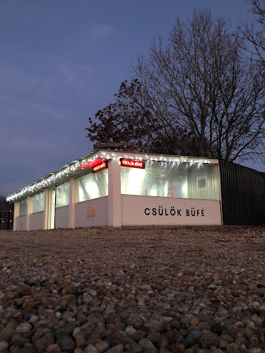 Hajdúhadház, Lóger kert 2, 4242