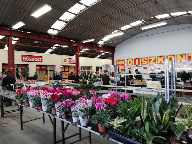 Comentarii opinii despre Vásárcsarnok