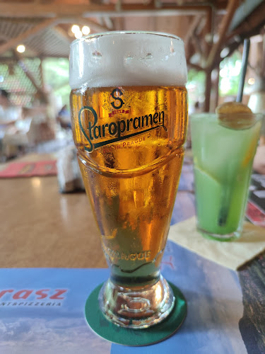 Opinii despre Terasz Étterem în Vonyarcvashegy - Vendéglátás