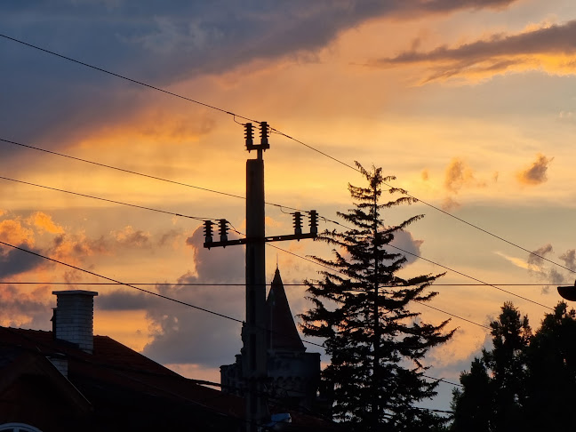 Comentarii opinii despre Aladdin Presszó