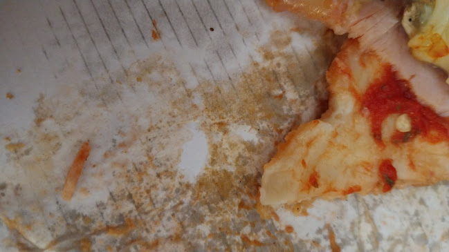 Pizza Paradicsom Szőreg - Vendéglátás