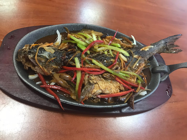 Várpalota, Táncsics Mihály u. 11, 8100