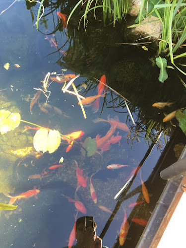 Opinii despre Mini Hal ABC în Kalocsa - Vendéglátás