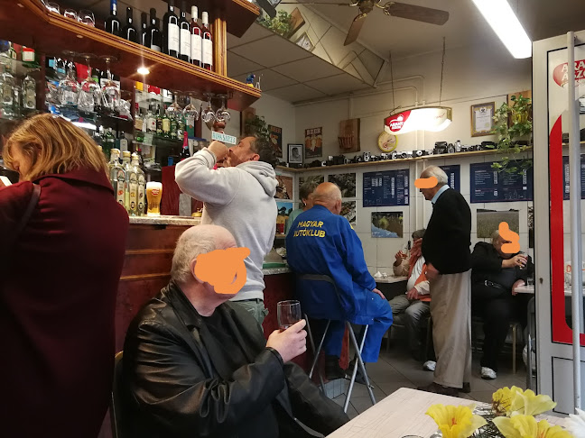 Dasty borozó (Bázis)