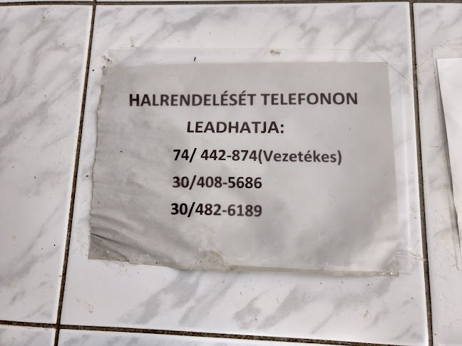 Tolna, Alkotmány u. 93, 7130