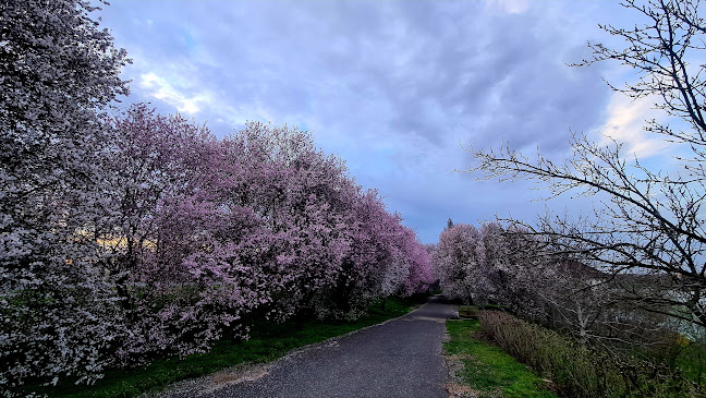 Csuka Csárda - Vendéglátás