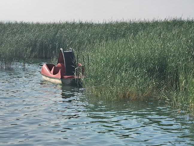 Comentarii opinii despre BoroZoli Strandbüféje