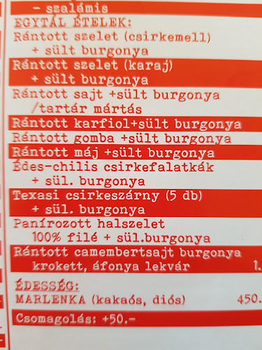 Berettyóújfalu, Oláh Zsigmond u. 3, 4100