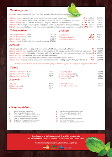 Di Matteo Pizzéria - Vendéglátás