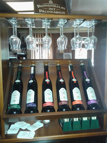 Szombathely, Ernuszt Kelemen u. 6, 9700