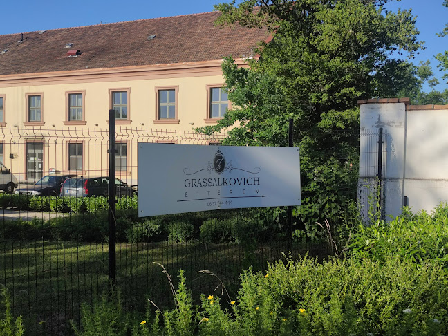 Comentarii opinii despre Harap a Kacsa