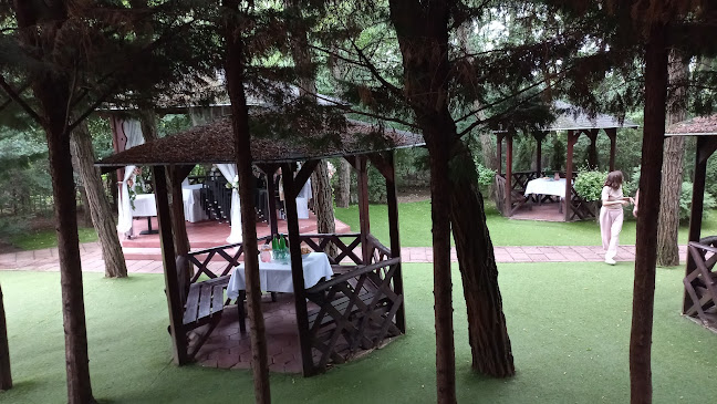 Holdfény Étterem - Vendéglátás