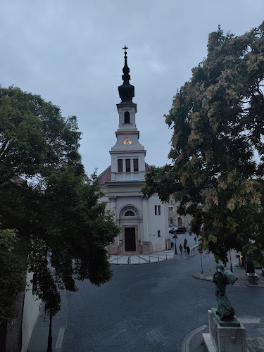 Café Maison - Vendéglátás