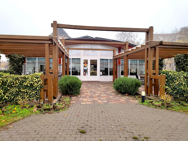 Comentarii opinii despre Castello Cukrászda