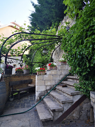 Borköltők Társasága Pince Étterem - Vendéglátás