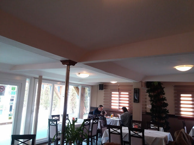 Comentarii opinii despre La'Mar Grill Restaurant & Pizzeria Zalakaros