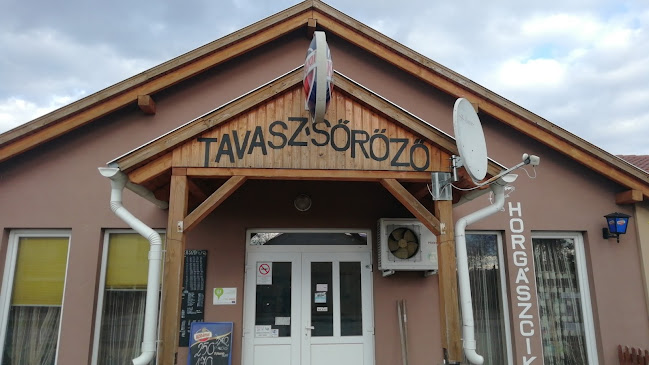 Opinii despre Tavasz Söröző és horgászbolt în Ibrány - Vendéglátás