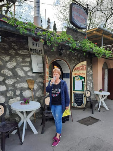 Kék bogyó internet borozó - Eger