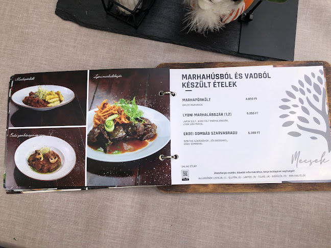 Mecsek Pihenő - Vendéglátás