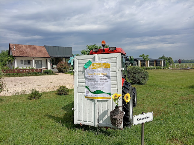 PINO PINCE - Vendéglátás