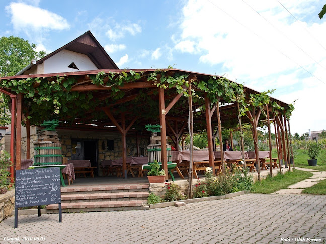 Comentarii opinii despre Söptei Étterem