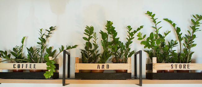 Modam Specialty Coffee & Store - Vendéglátás