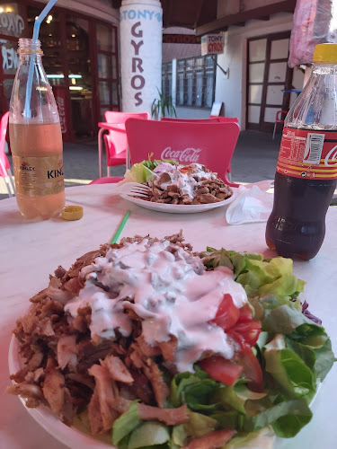 Tony Gyros - Vendéglátás