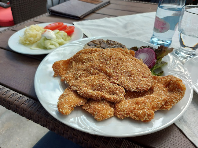 Opinii despre Hullámtér Vendéglő în Mártély - Vendéglátás