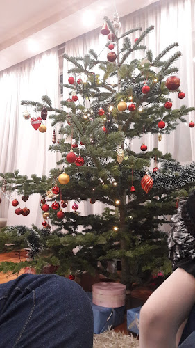 Claudia Cukrászda - Fagyizó - Zalaegerszeg