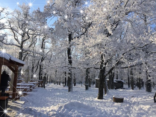 Opinii despre Dobogókő Matyi Büfé & Grill în Pilisszentkereszt - Vendéglátás