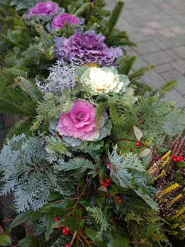 Pilisvörösvár, Hősök tere 1, 2085