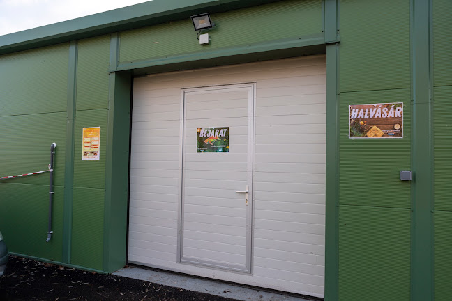 Aranyponty Zrt Halbolt - Rétimajor