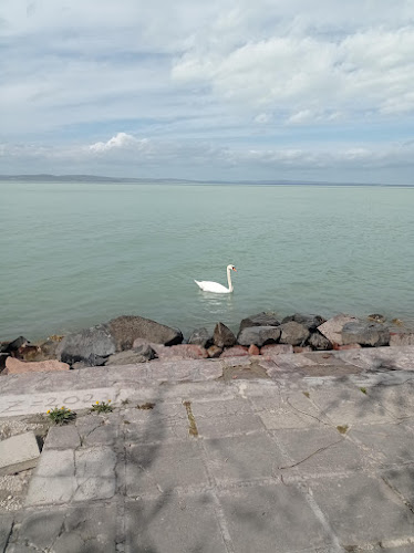 Comentarii opinii despre Szabadstrand