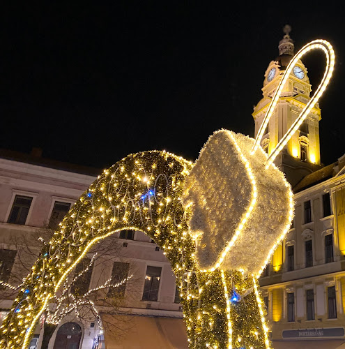 Bortársaság - Pécs - Pécs