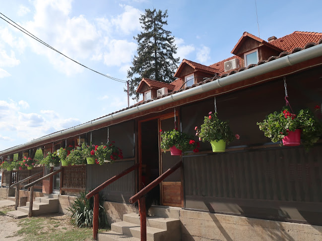 Öttömös, 55, 6784