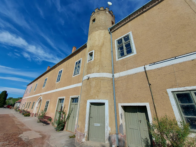 Pécsi Egyetemi Borbirtok - Vendéglátás