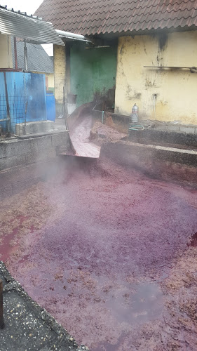 Vida Pálinkaház - Vendéglátás