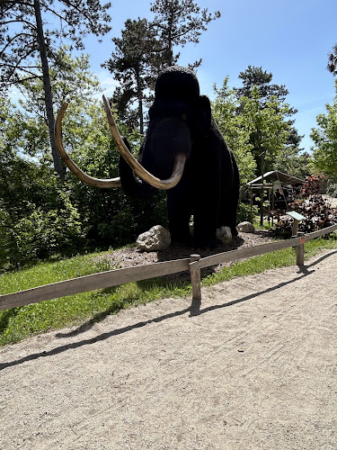 Opinii despre Pizza Pasta în Veszprém - Vendéglátás