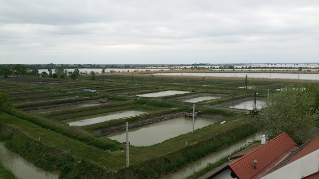 Szeged, Budapesti út 41, 6728