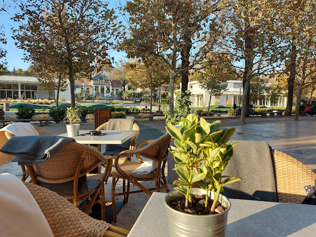 Larus Café Bar - Vendéglátás