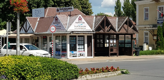 Opinii despre ÉDES Balaton Fagyizó în Balatonföldvár - Vendéglátás