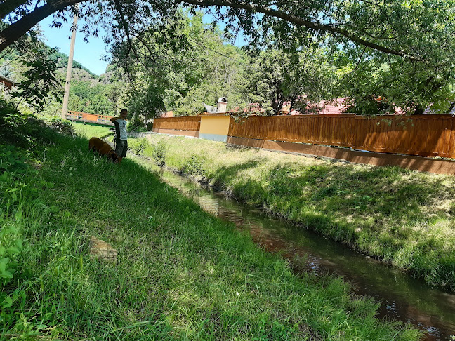 Comentarii opinii despre Makákó Kávégyár