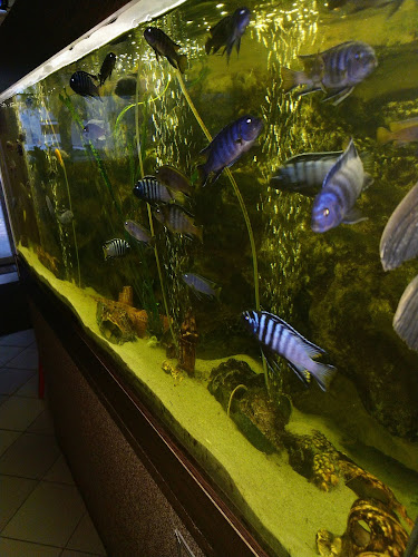 Szentes, Kossuth Lajos u. 46, 6600