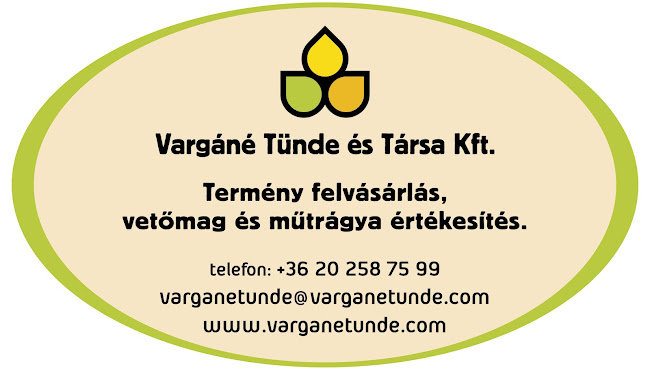 Comentarii opinii despre Vargáné Tünde és Társa Kft