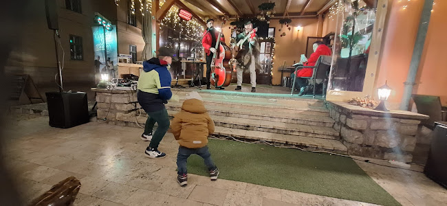 Opinii despre Borház és Pizzaház în Balatonfüred - Vendéglátás